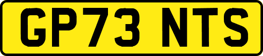 GP73NTS