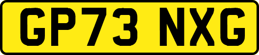 GP73NXG