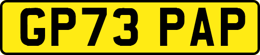 GP73PAP