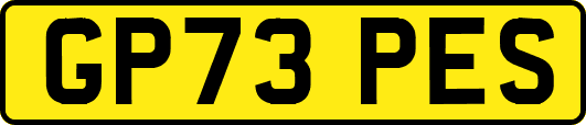 GP73PES