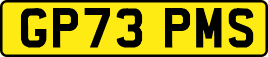 GP73PMS