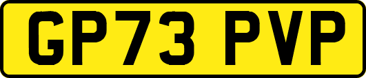 GP73PVP