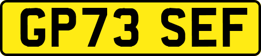 GP73SEF