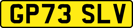 GP73SLV
