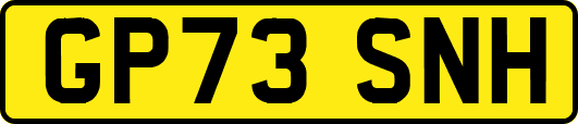 GP73SNH