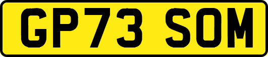 GP73SOM