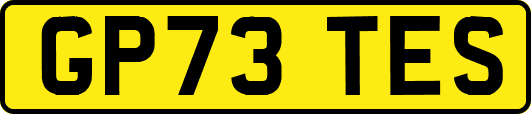 GP73TES