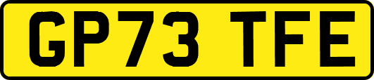 GP73TFE