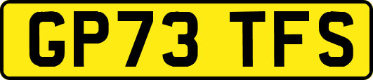 GP73TFS