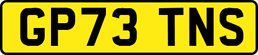 GP73TNS