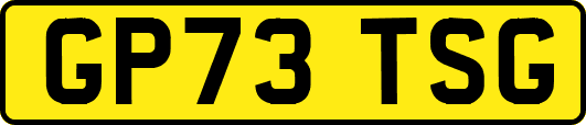 GP73TSG
