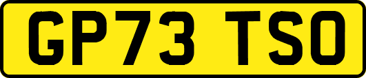 GP73TSO