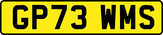 GP73WMS