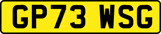GP73WSG