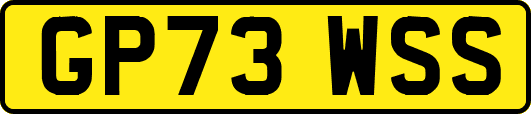 GP73WSS