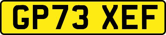 GP73XEF