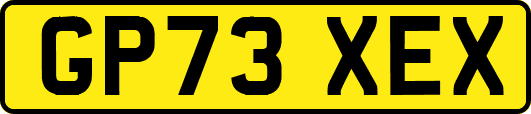 GP73XEX