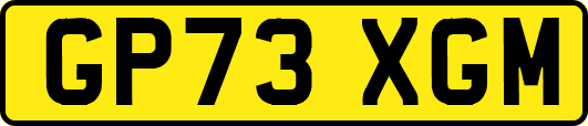 GP73XGM