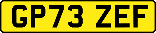 GP73ZEF