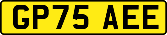 GP75AEE