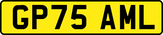 GP75AML