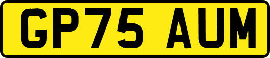 GP75AUM