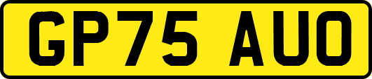 GP75AUO