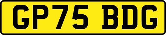 GP75BDG