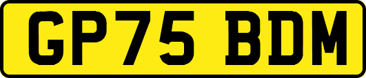 GP75BDM