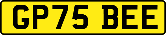 GP75BEE