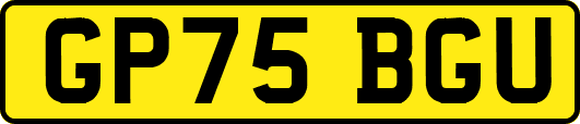 GP75BGU