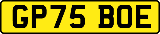 GP75BOE