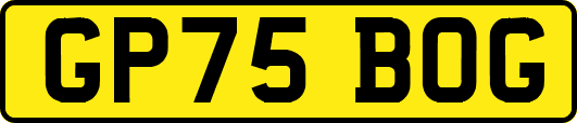 GP75BOG