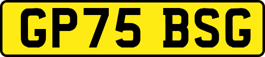 GP75BSG