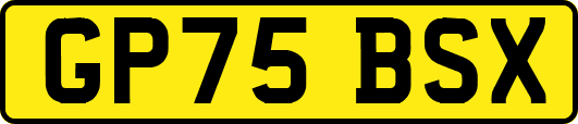 GP75BSX