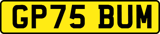 GP75BUM