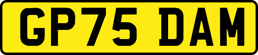 GP75DAM