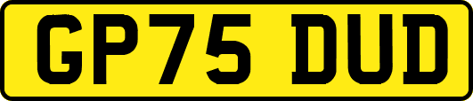 GP75DUD