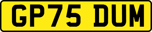 GP75DUM