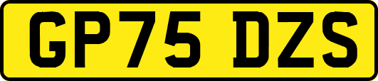 GP75DZS
