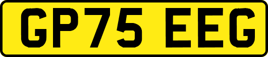 GP75EEG