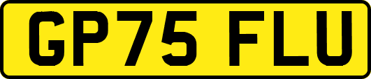 GP75FLU