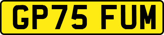 GP75FUM