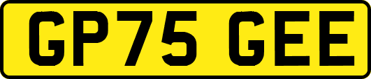 GP75GEE