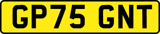 GP75GNT