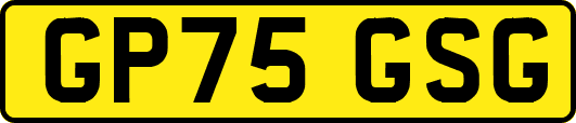 GP75GSG