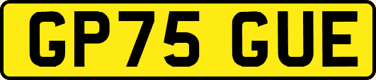 GP75GUE