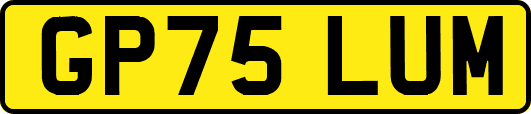GP75LUM