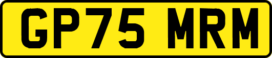 GP75MRM