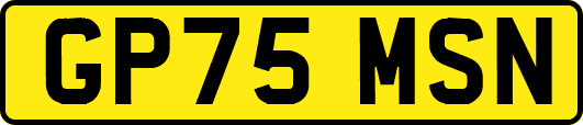 GP75MSN